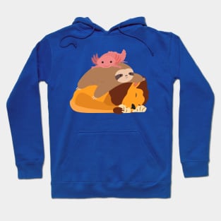 Lion Sloth Axolotl Stack Funny Hoodie